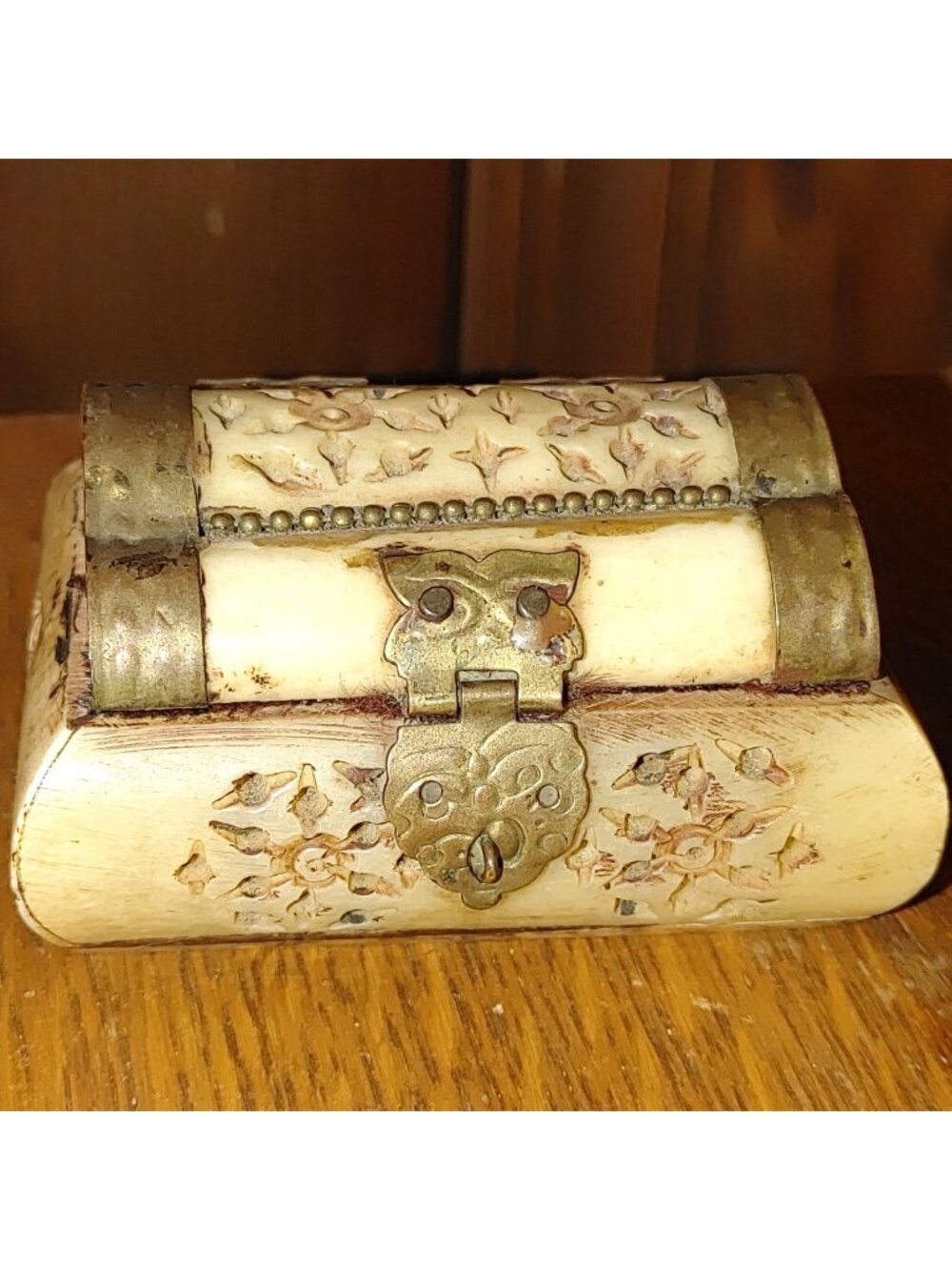 Miniature Chest Hand Carved Bone Brass Decorative Hinged Lid Compact Trinket Box